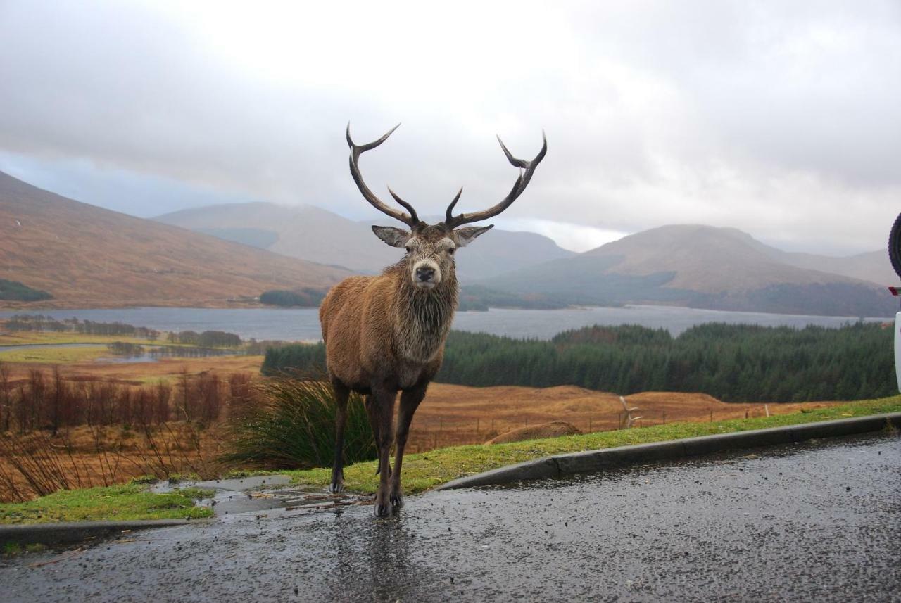 Clifton Cottage B&B Tyndrum Kültér fotó